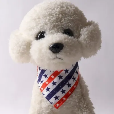 Stylish Pet Accessories Pet Collars for Small Dogs