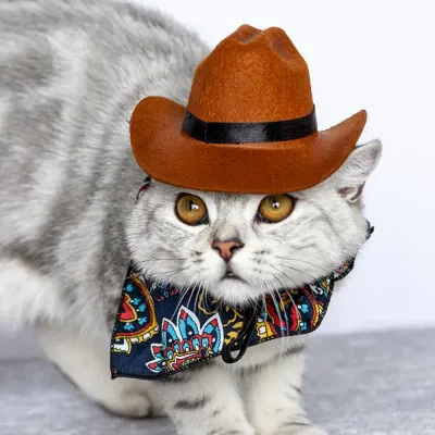 Pet Supplies for Resellers