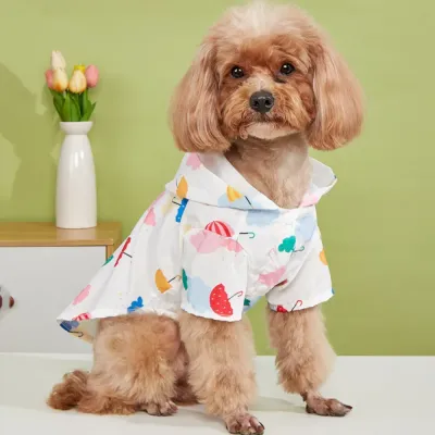 carton dog raincoat