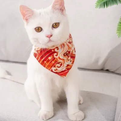 Stylish Pet Accessories
