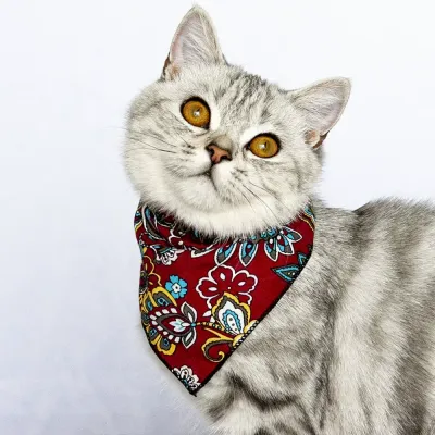 Pet Bibs for Small Dogs