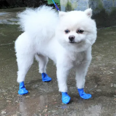anti-slip dog rain boots anti-slip dog rain boots