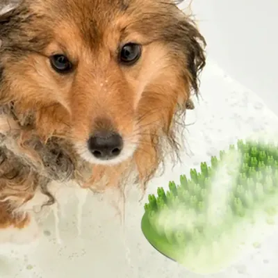 Massage Pet Brush Massage Pet Brush