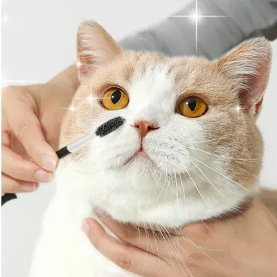 Double-Side Cat Comb Double-Side Cat Comb