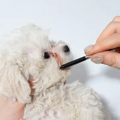 Pet Facial Eye Grooming Tool Pet Facial Eye Grooming Tool