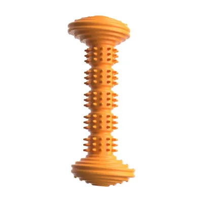 dog in toy (4) These chew toys are specifically designed to soothe teething discomfort in dogs. The texture and material help massage gums, reduce irritation, and provide a satisfying chew for young dogs experiencing teething.