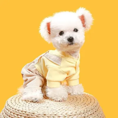 Ideal for cooler weather, this bear outfit provides an extra layer of warmth, making it a great choice for chilly mornings or winter outings. Keep your dog warm without sacrificing style or comfort.