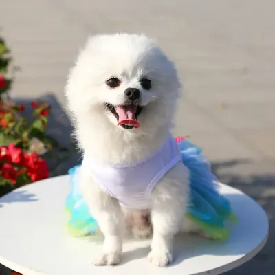 Ideal for birthdays, parties, photoshoots, and festive events, this dress is a must-have for any pet’s wardrobe.