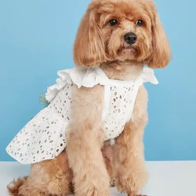 pet clothes dog apparel (1) Designed with a convenient slip-on or Velcro closure for quick dressing while providing a snug and secure fit.