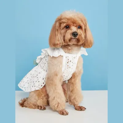 pet clothes dog apparel (6) The layered skirt design adds volume and grace, making pets look stylish for special occasions.