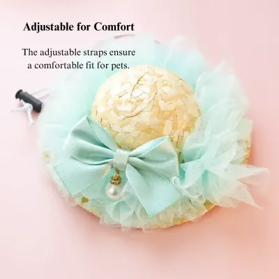 Fashionable pet hat Pet styling prop