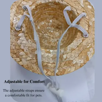 Lightweight pet hat Fashionable pet hat