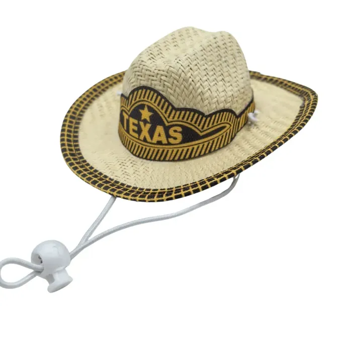 Summer pet hat Pet beach trip accessories