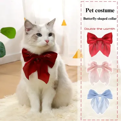 Pet bowtie collar Small dog collar
