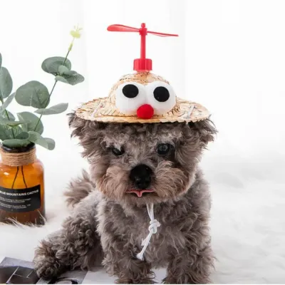 Straw hat for cats and dogs Playful pet headwear