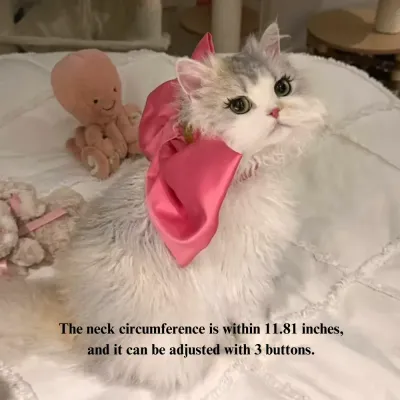 Unique pet accessory