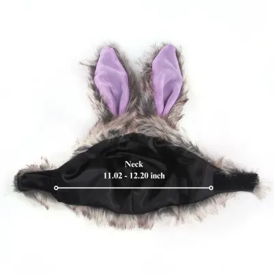 Halloween pet dress-up