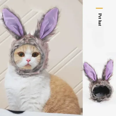 Pet party accessories