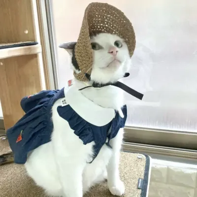 Adjustable pet sun hat Trendy summer pet fashion