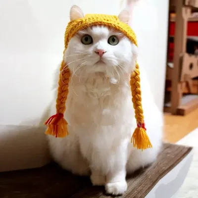 Soft pet wig