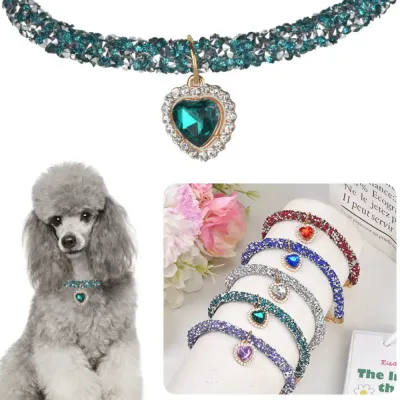 Fancy pet neckwear