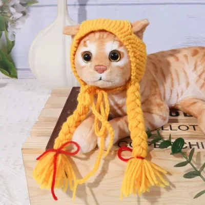 Lightweight pet hat
