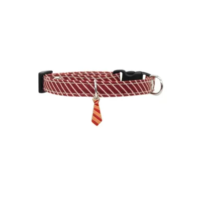 Classy pet neckwear