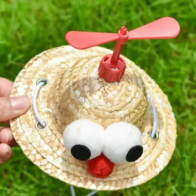 Funny pet accessories Pet travel sun protection