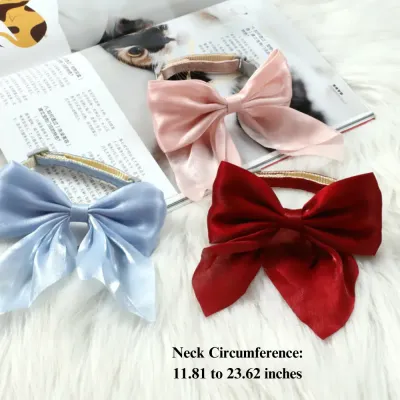 Elegant cat collar Cute pet fashion