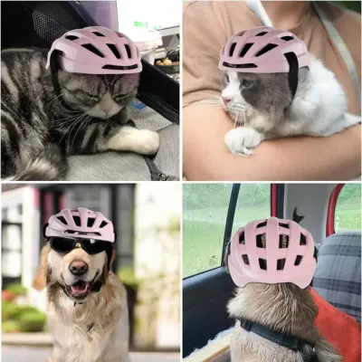 Pet protective gear