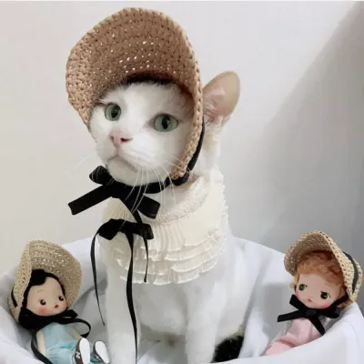 Cute pet fashion hat Fancy pet accessories