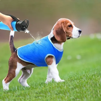 PVA pet cooling vest Hot weather pet protection