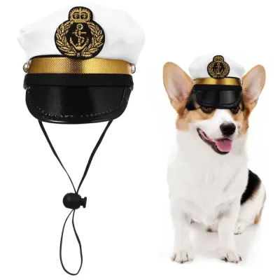 Cat sailor costume Cosplay hat for dogs