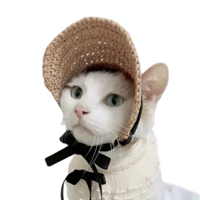 Dog and cat summer accessories Beach pet hat