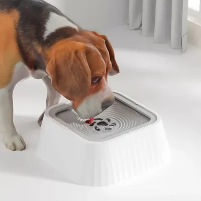 Bulk No Spill Dog Water Bowl