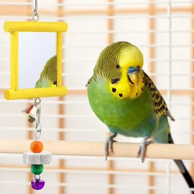 non-toxic parrot toy
