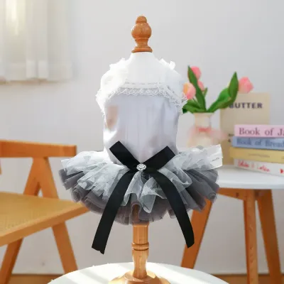 small dog formal wear