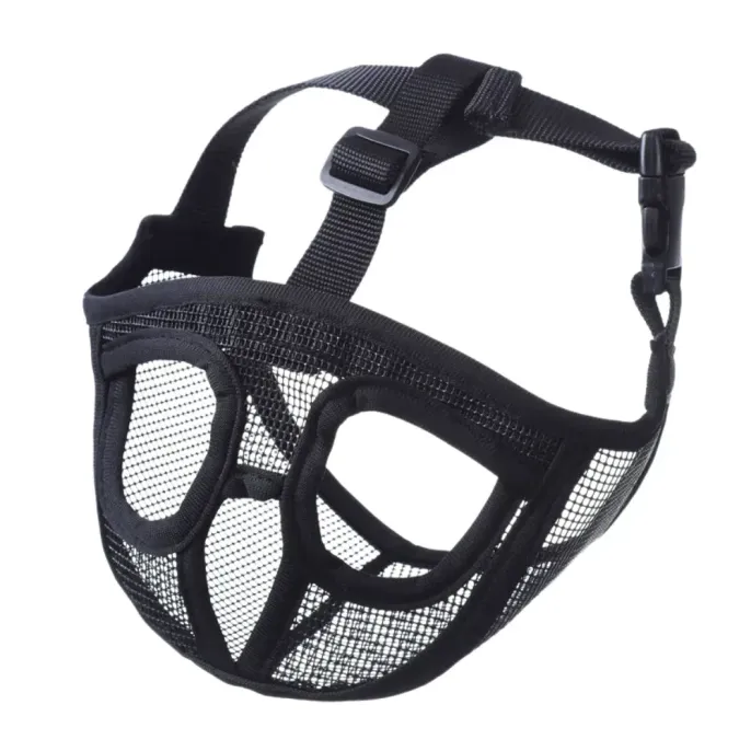 short-snout dog muzzle brachycephalic dog muzzle