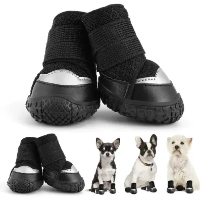 small dog footwear