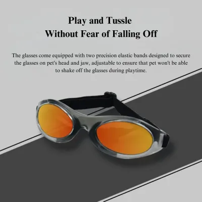 outdoor pet sunglasses