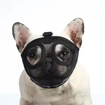 English Bulldog muzzle dog mouth guard