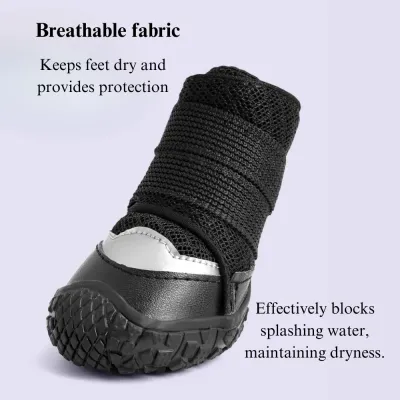 protective dog shoes