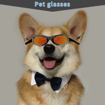 UV protection pet goggles