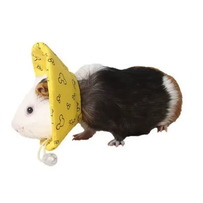 sugar glider collar injury prevention collar