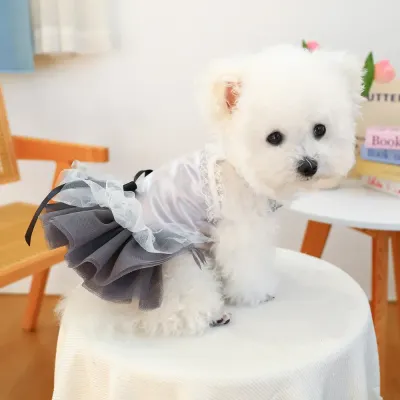stylish cat dress