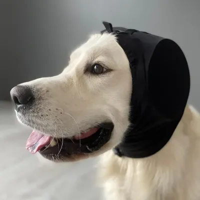 dog earplugs alternative travel dog ear protection