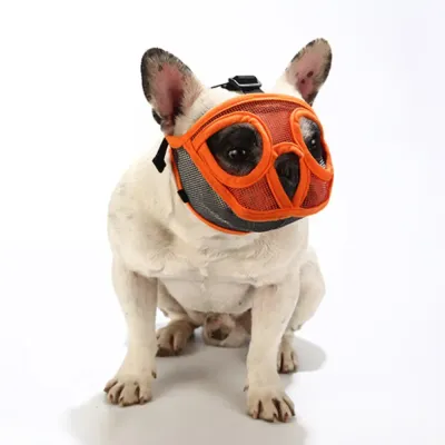 pet safety muzzle comfortable dog muzzle