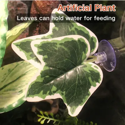 Multi-purpose design for both decoration and water feeding