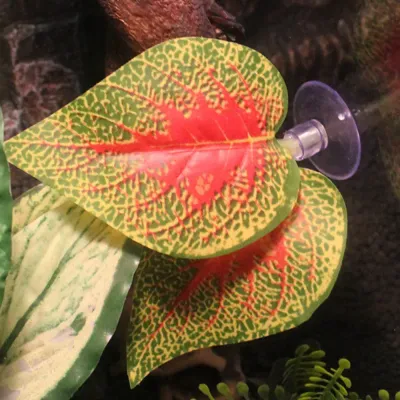 High-quality artificial plants for chameleons, geckos, and snakes (5) Perfect for bioactive and naturalistic terrarium setups