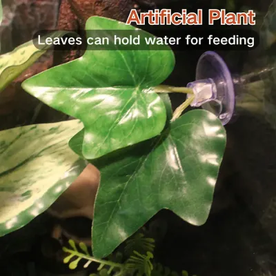 Suitable for Multiple Species: Ideal for lizards, chameleons, geckos, snakes, frogs, and other reptiles.